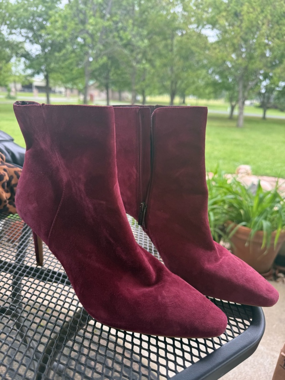 Vince Camuto Allost Suede Plum Women’s boot, size 11